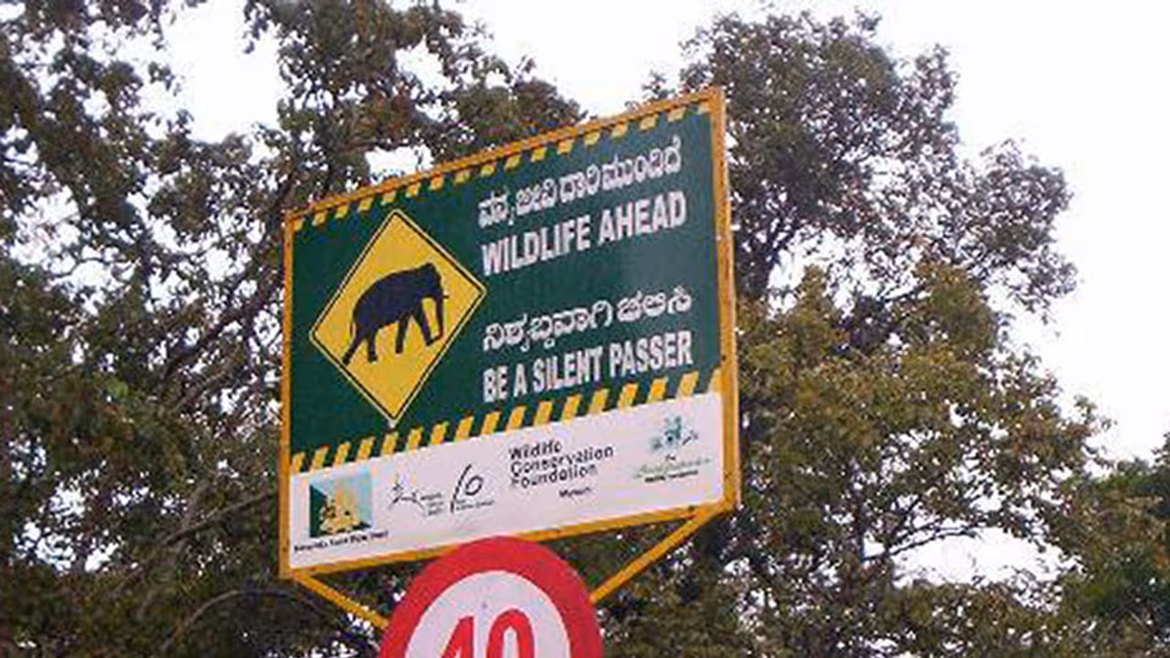 Bandipura Forest Bandipura Forest