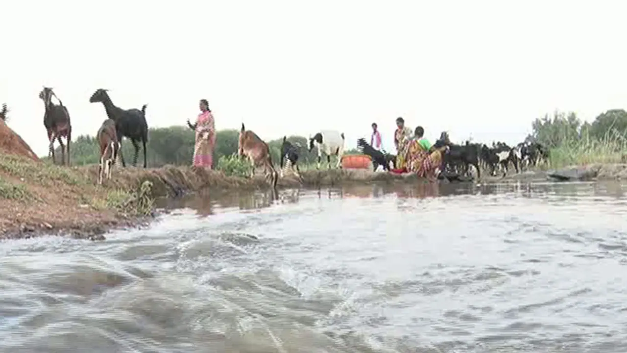 Haveri Pond Haveri Pond