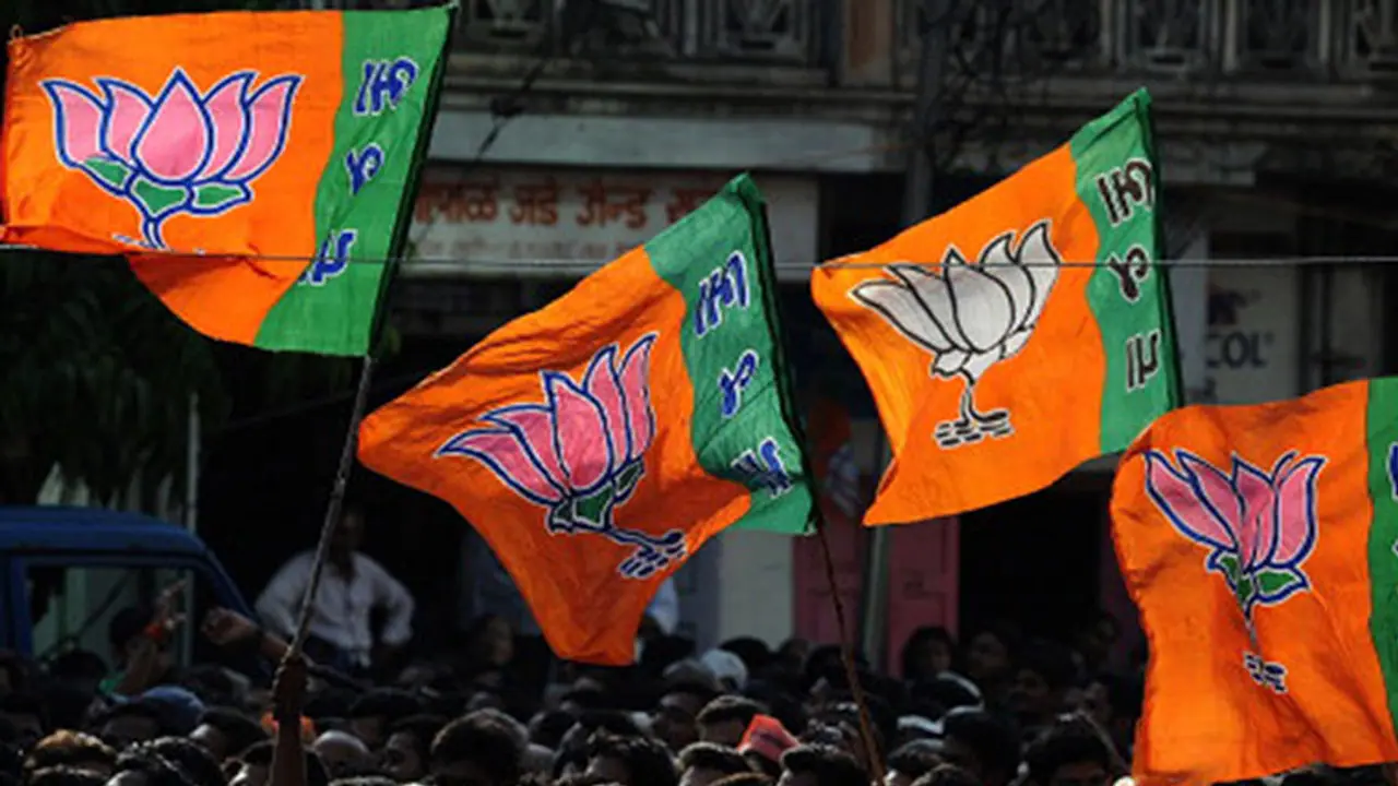 bjp symbol bjp symbol