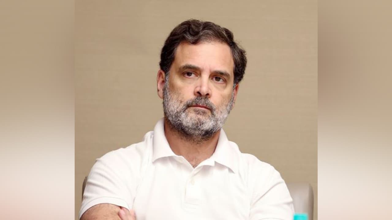 Lok Sabha Leader of Opposition Rahul Gandhi (File Photo/ANI) Lok Sabha Leader of Opposition Rahul Gandhi (File Photo/ANI)