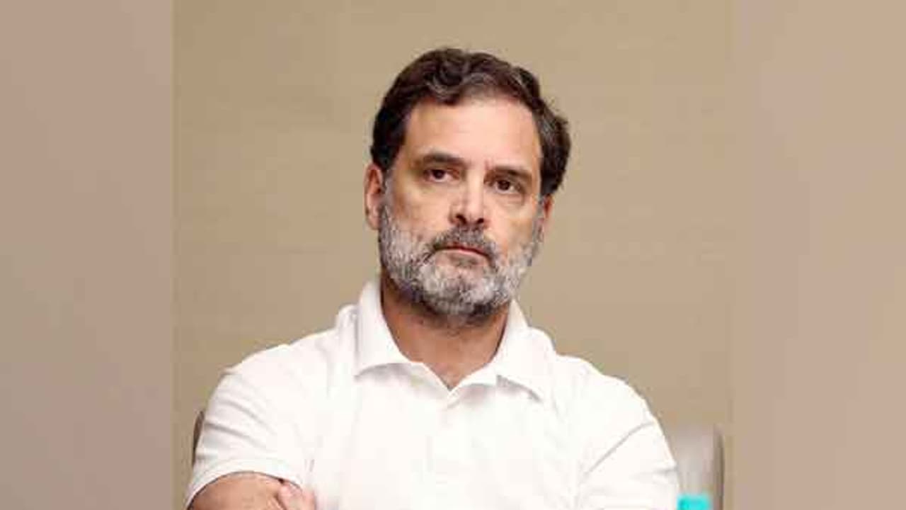 Congress MP Rahul Gandhi. (File Photo/ANI) Congress MP Rahul Gandhi. (File Photo/ANI)