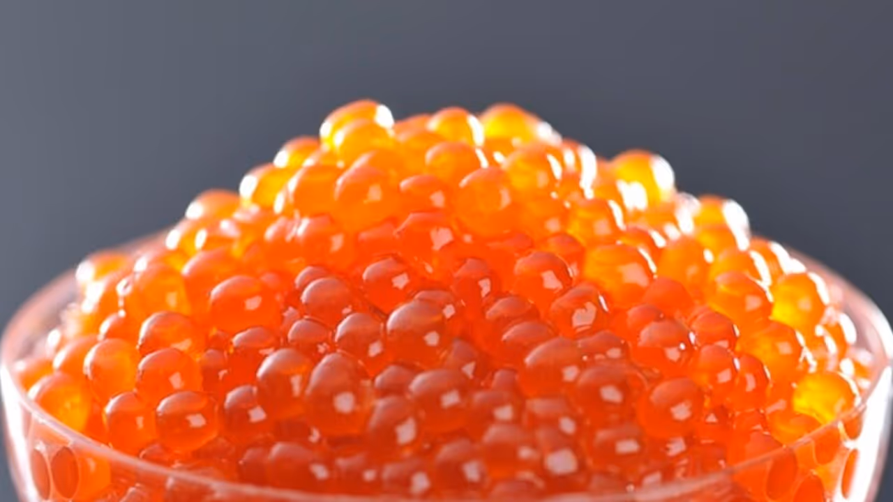 fish eggs benefits fish eggs benefits