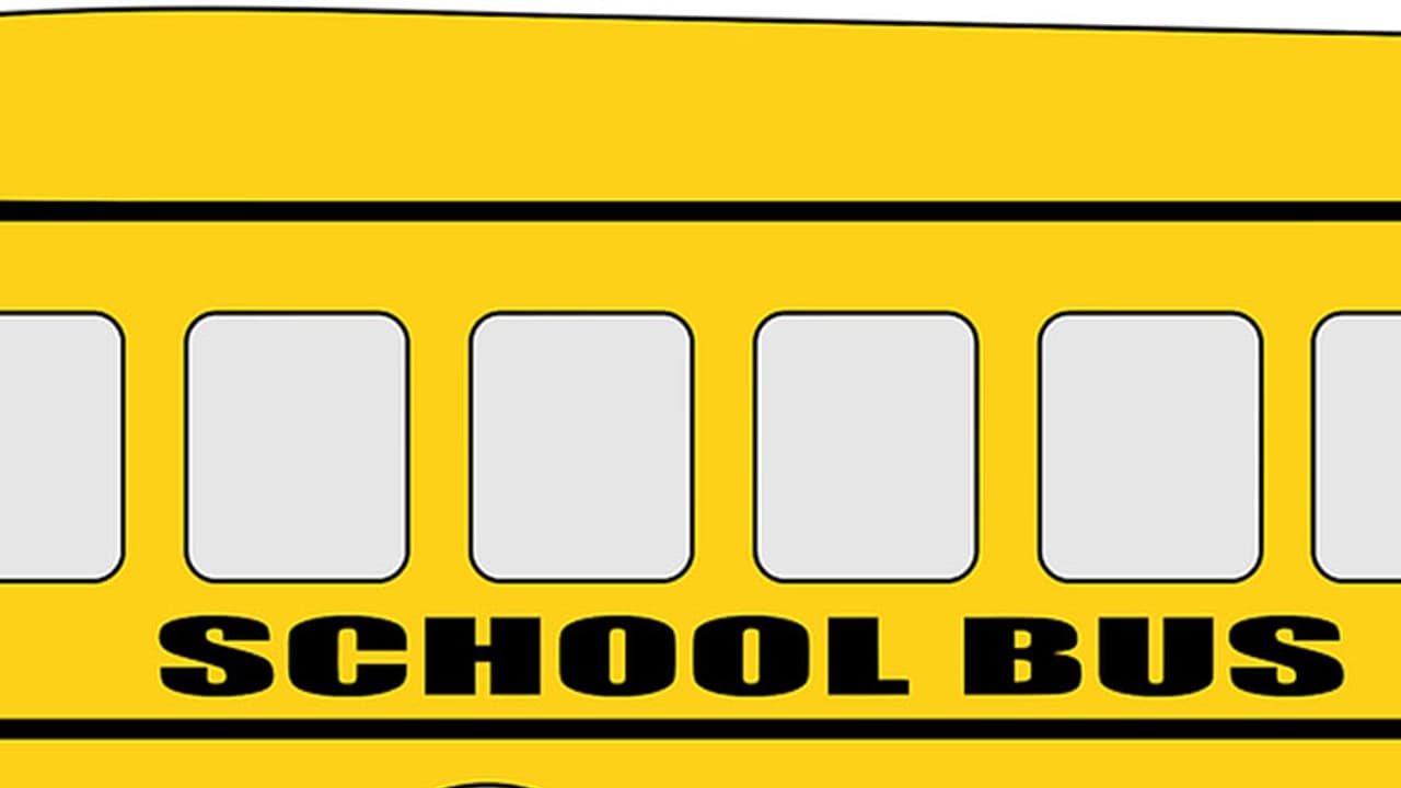 School bus School bus