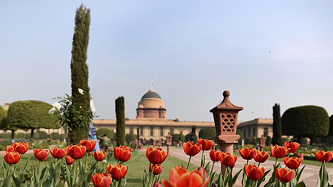 Mughal Garden banner Mughal Garden banner