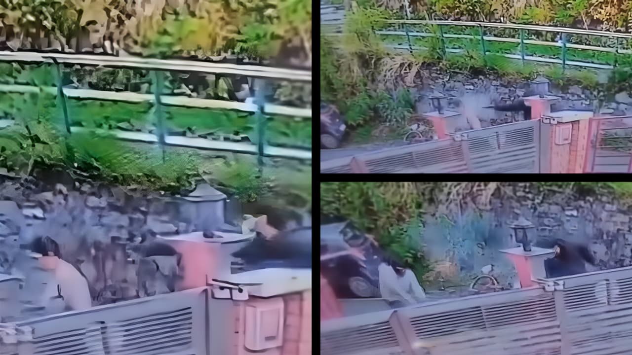 Shimla School Administrator Murder CCTV footage captures masked gunmen who shot dead Meenakshi Mittal Shimla School Administrator Murder CCTV footage captures masked gunmen who shot dead Meenakshi Mittal
