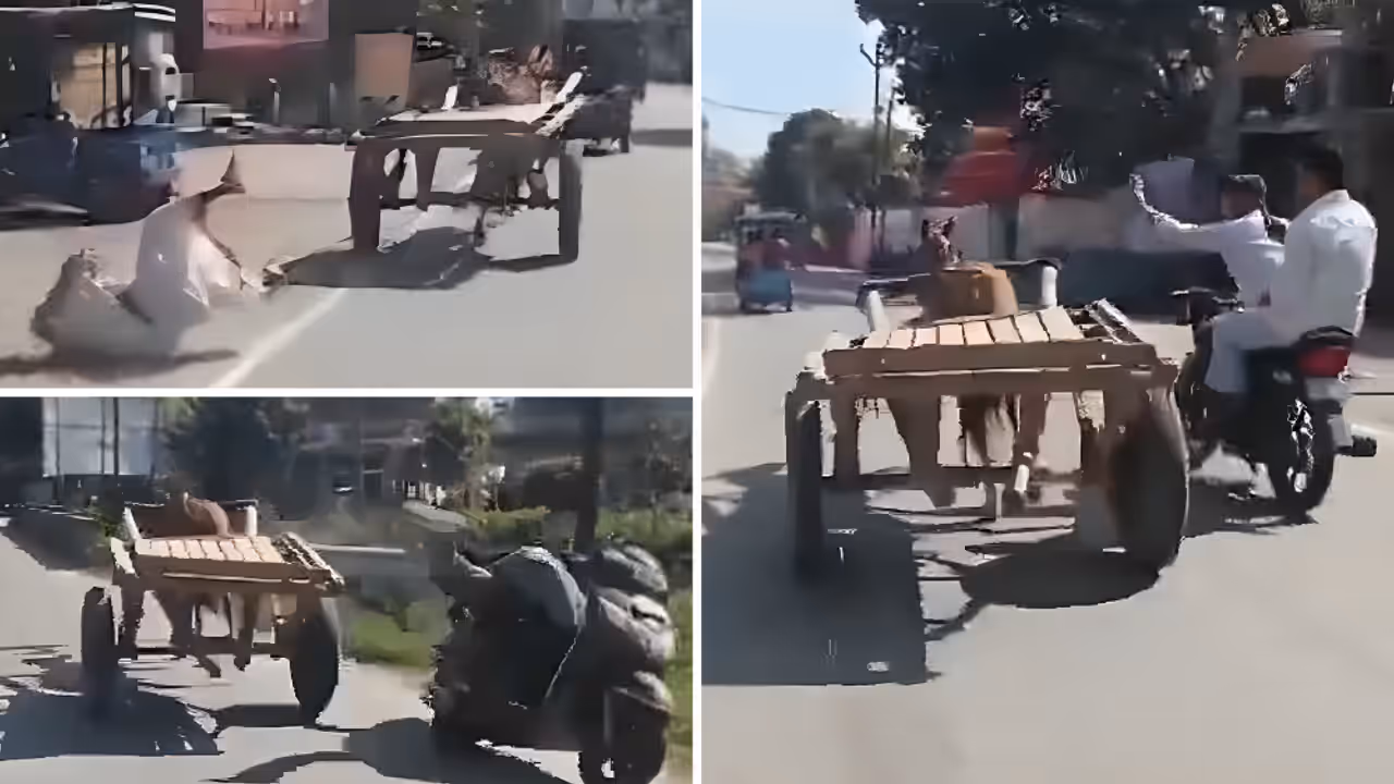 Uttarakhand Horse Viral Video Runaway Horse Hits Elderly Man Bike Rider Sparks Safety Concerns Uttarakhand Horse Viral Video Runaway Horse Hits Elderly Man Bike Rider Sparks Safety Concerns