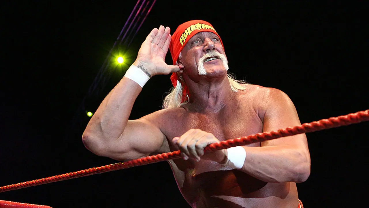 Hulk Hogan Hulk Hogan