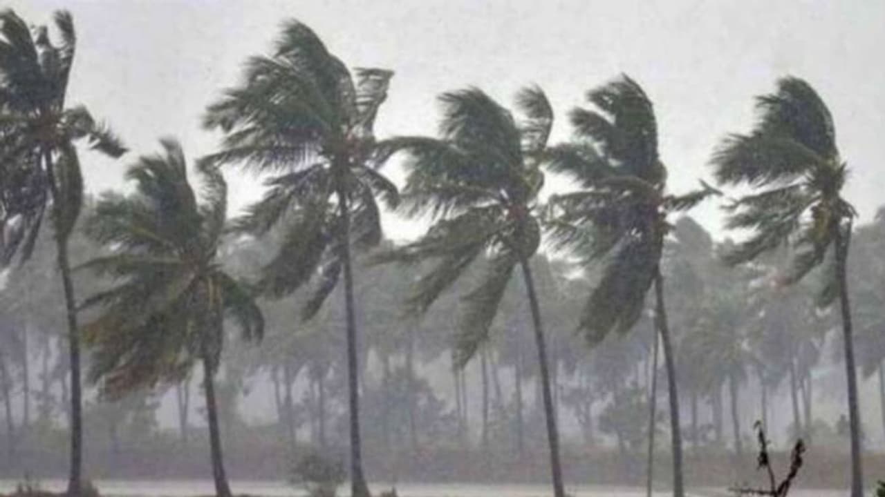 UP WEATHER