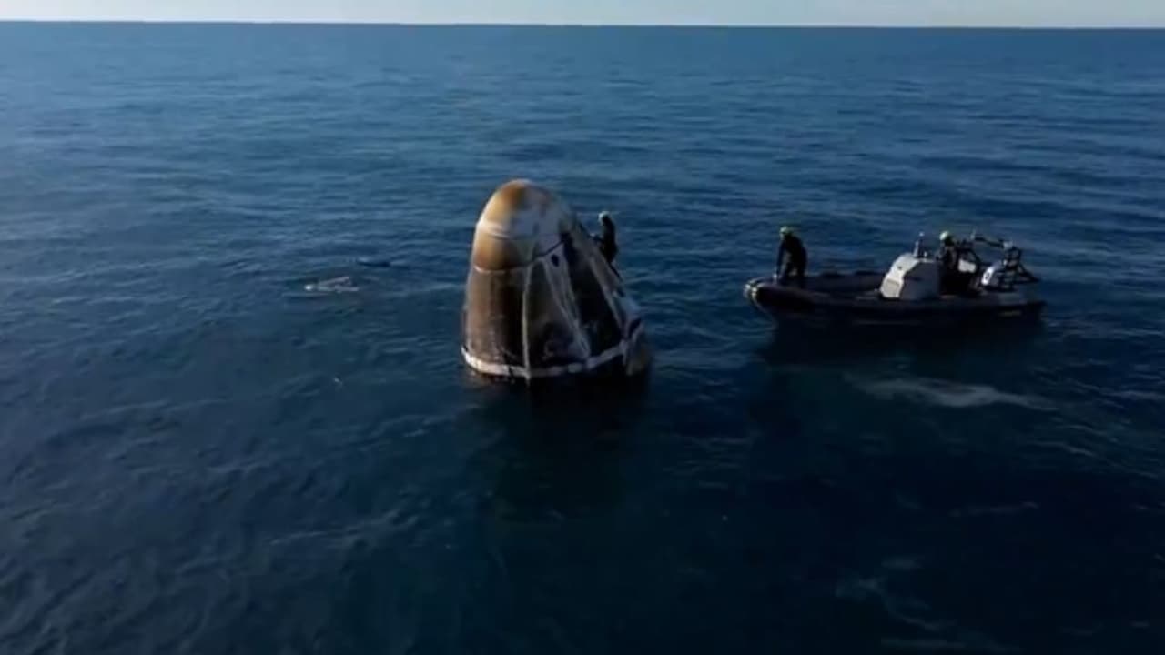 Dolphins welcomes sunita williams Dolphins welcomes sunita williams