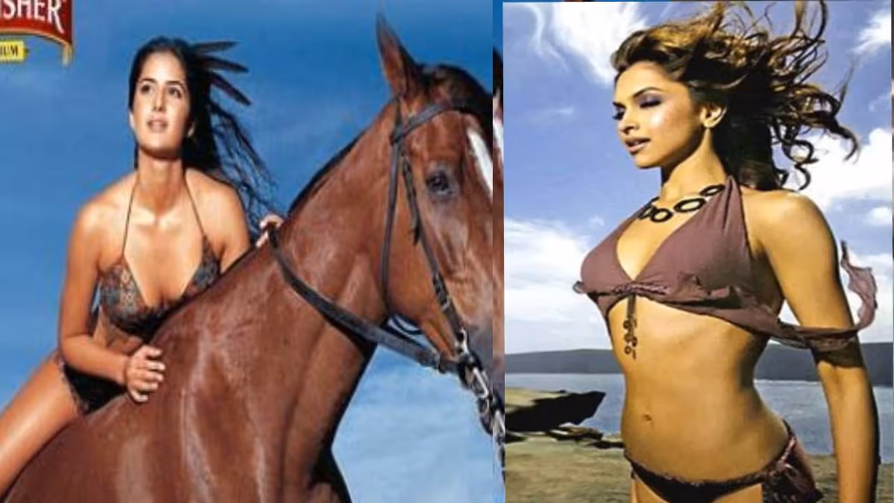 kingfisher calendar kingfisher calendar