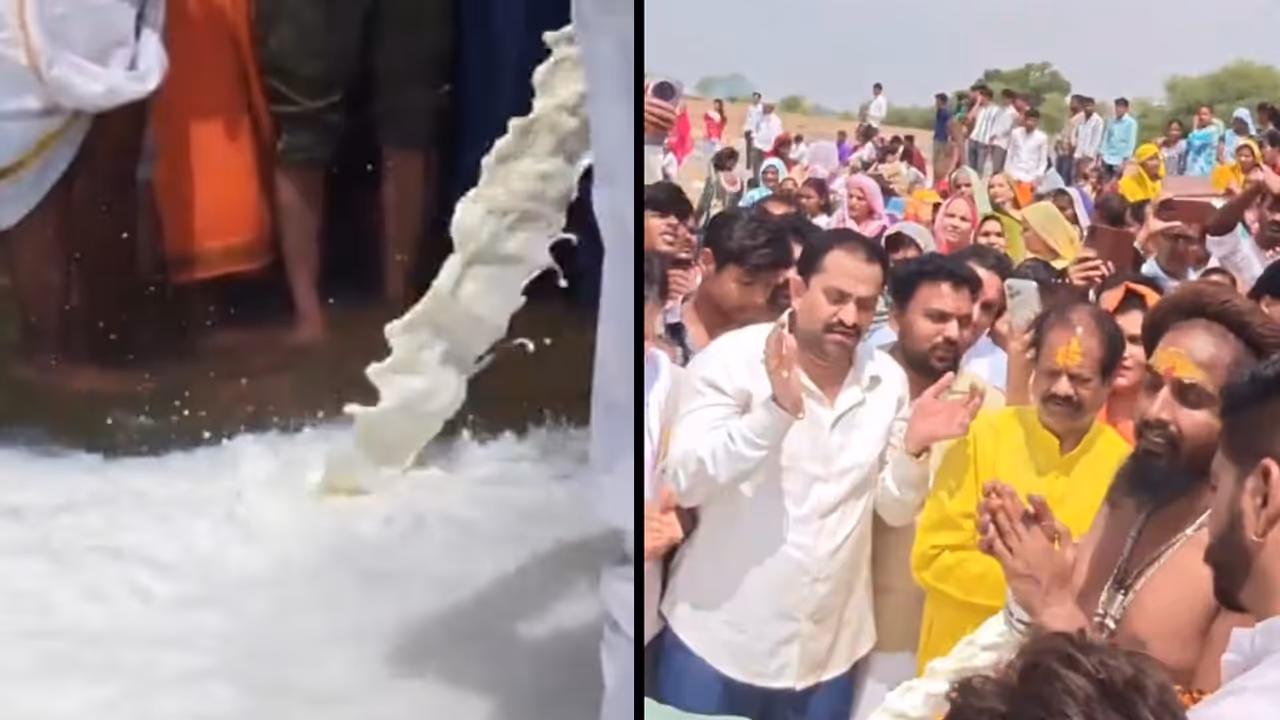 Viral Video Shows 11,000 Litres Of Milk Being Poured Into Narmada River Viral Video Shows 11,000 Litres Of Milk Being Poured Into Narmada River