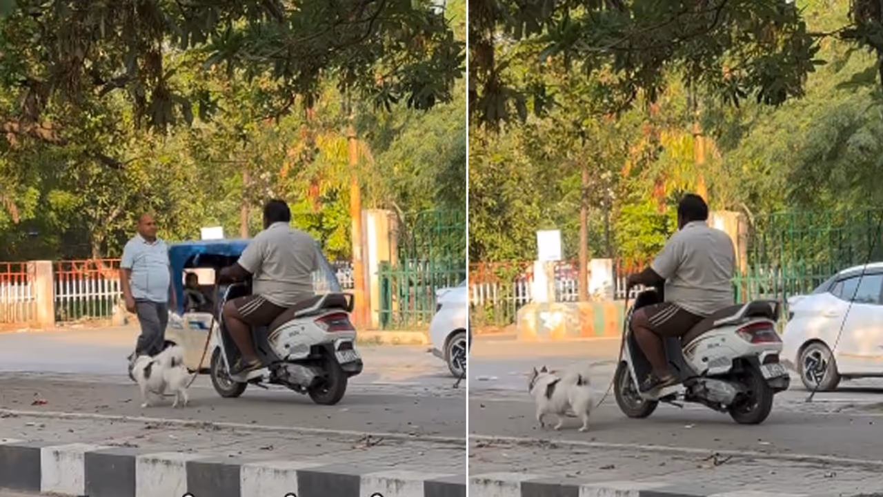 Viral Video: Lucknow Man Walks Dog While Riding Scooter, Internet Calls It 'Peak Nawabi' (WATCH) Viral Video: Lucknow Man Walks Dog While Riding Scooter, Internet Calls It 'Peak Nawabi' (WATCH)