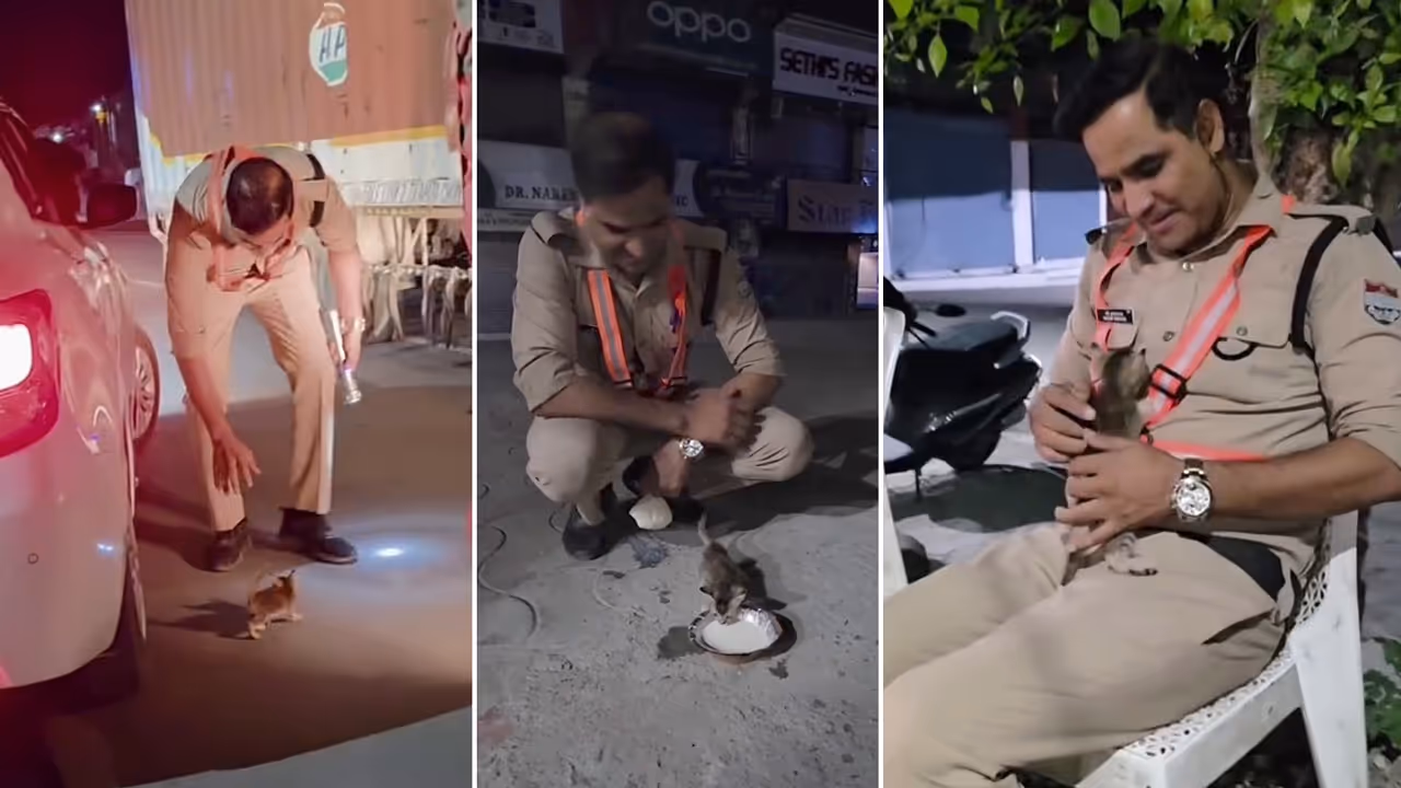 Watch: Uttarakhand Cop Rescues Kitten Trapped Under Car, Feeds It; Viral Video Wins Hearts Online Watch: Uttarakhand Cop Rescues Kitten Trapped Under Car, Feeds It; Viral Video Wins Hearts Online