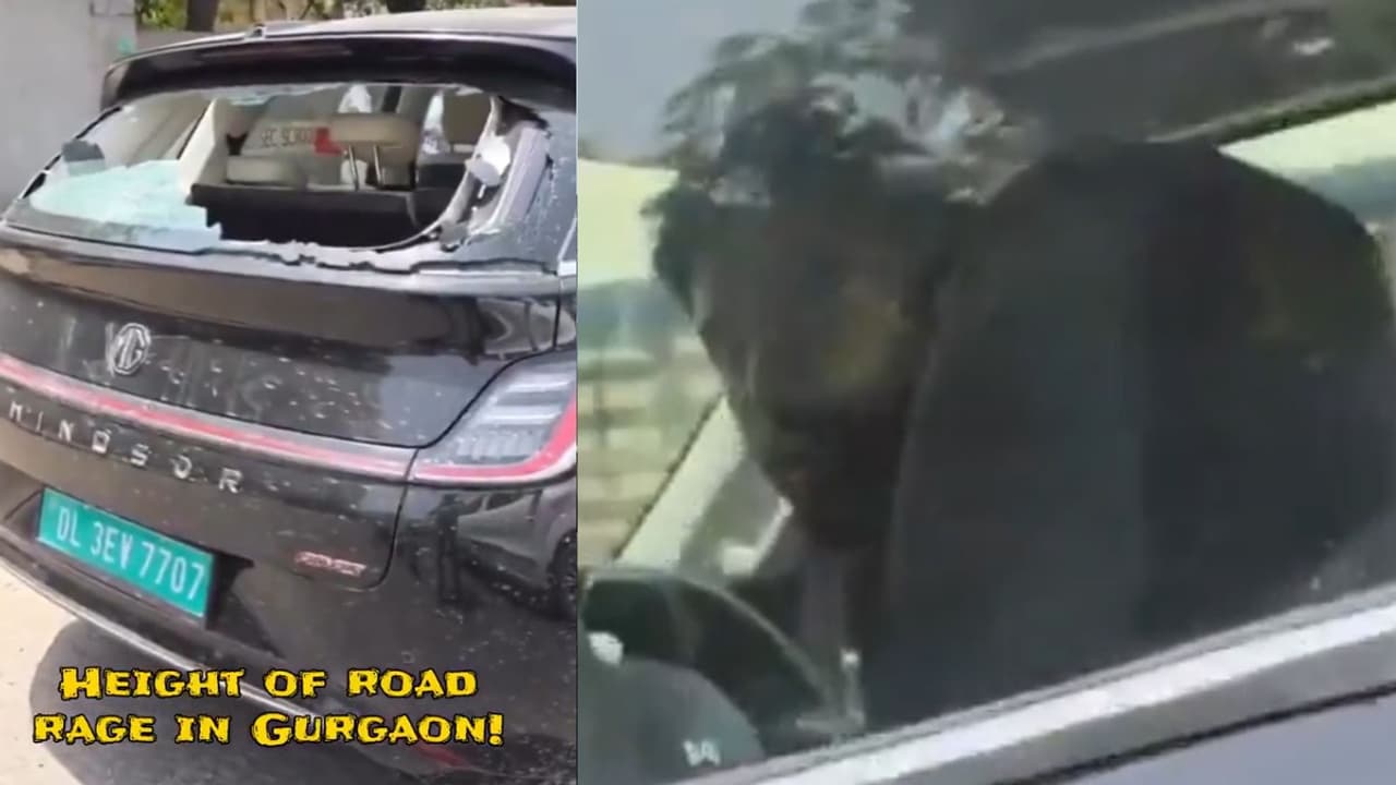 Gurugram Road Rage: Minor Overtake Dispute Ends In Major Violence On Sohna Road, Video Goes Viral (WATCH) Gurugram Road Rage: Minor Overtake Dispute Ends In Major Violence On Sohna Road, Video Goes Viral (WATCH)