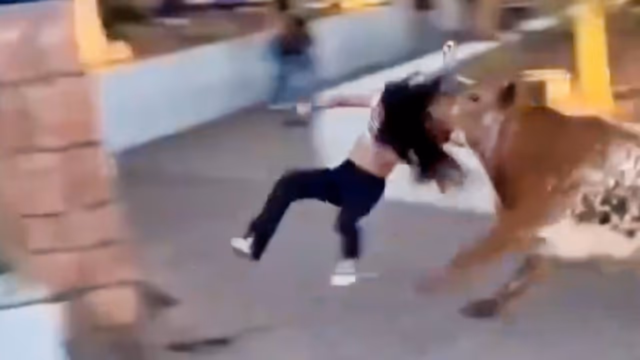 Bull attacks woman Bull attacks woman