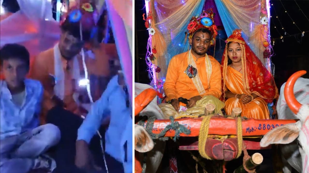 WATCH: Jharkhand Groom Skips Luxury Car, Rides Bullock Cart To Inspire Dowry Free Weddings; Video Goes Viral WATCH: Jharkhand Groom Skips Luxury Car, Rides Bullock Cart To Inspire Dowry Free Weddings; Video Goes Viral
