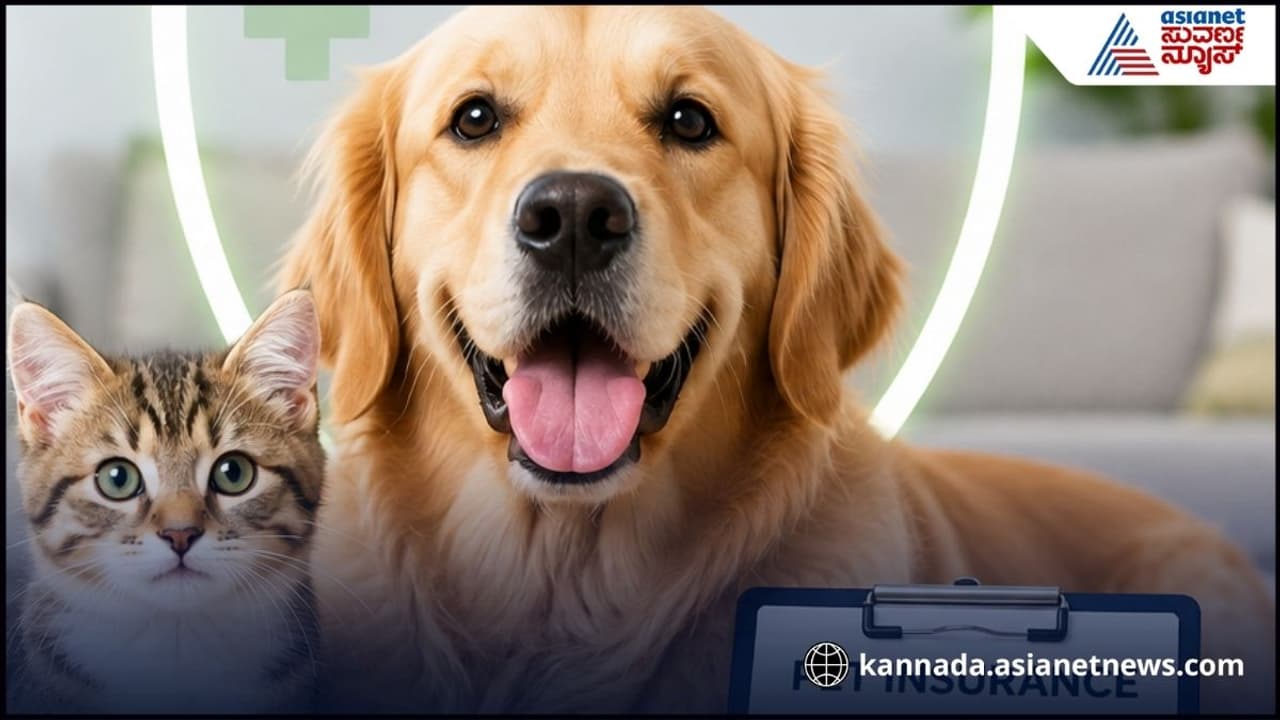 Pet Health Insurance Pet Health Insurance