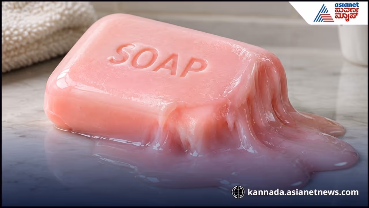 Soap Bar Soap Bar