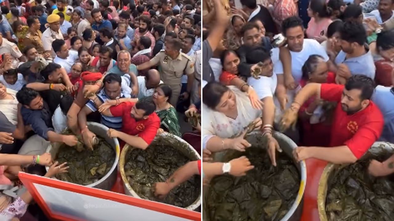3,500 Kg Mehendi Gone In Just 3 Hours! Single Men Throng Jaipur Temple Hoping To Get Married (WATCH Viral Video) 3,500 Kg Mehendi Gone In Just 3 Hours! Single Men Throng Jaipur Temple Hoping To Get Married (WATCH Viral Video)