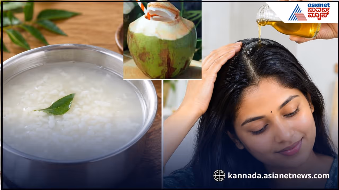 Hair Care Tips Hair Care Tips