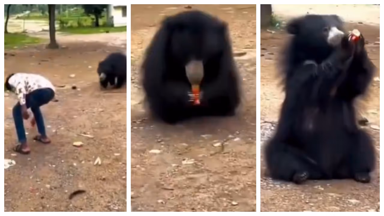 man gives cool drinks to beer