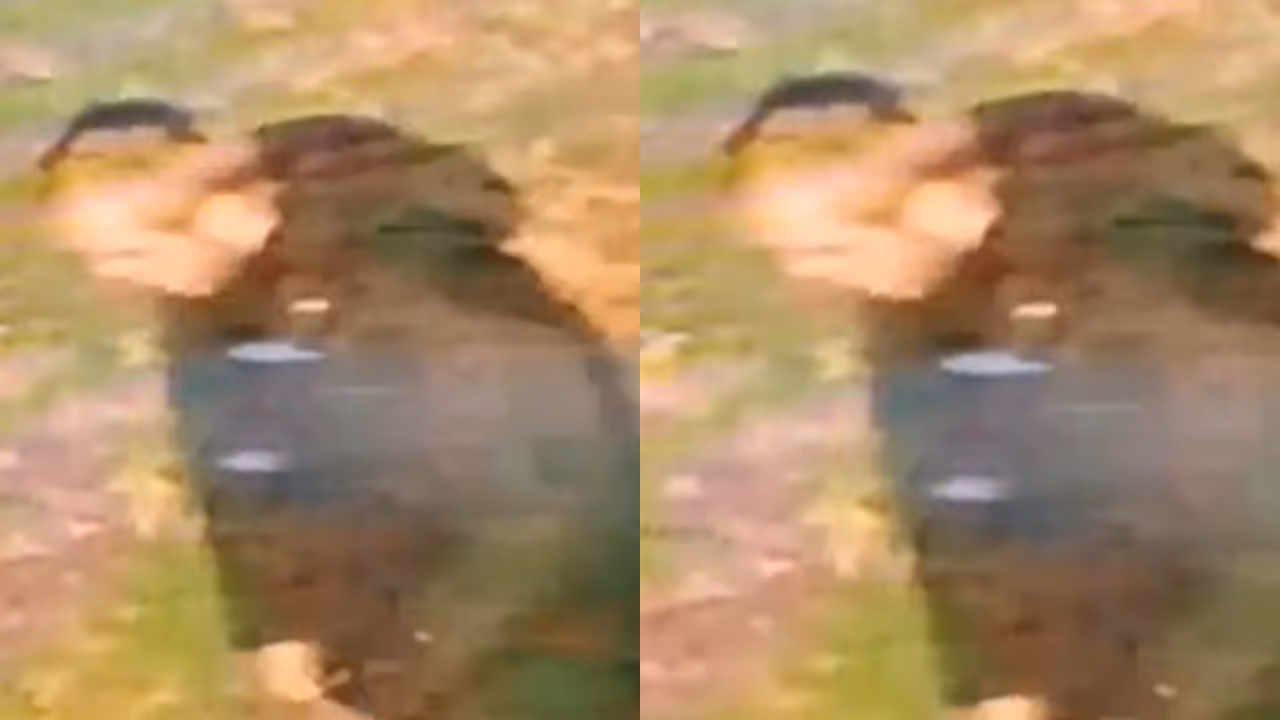 CCTV video of white male suspect wanted in Walsall racially aggravated rape of 20 year old Indian origin woman