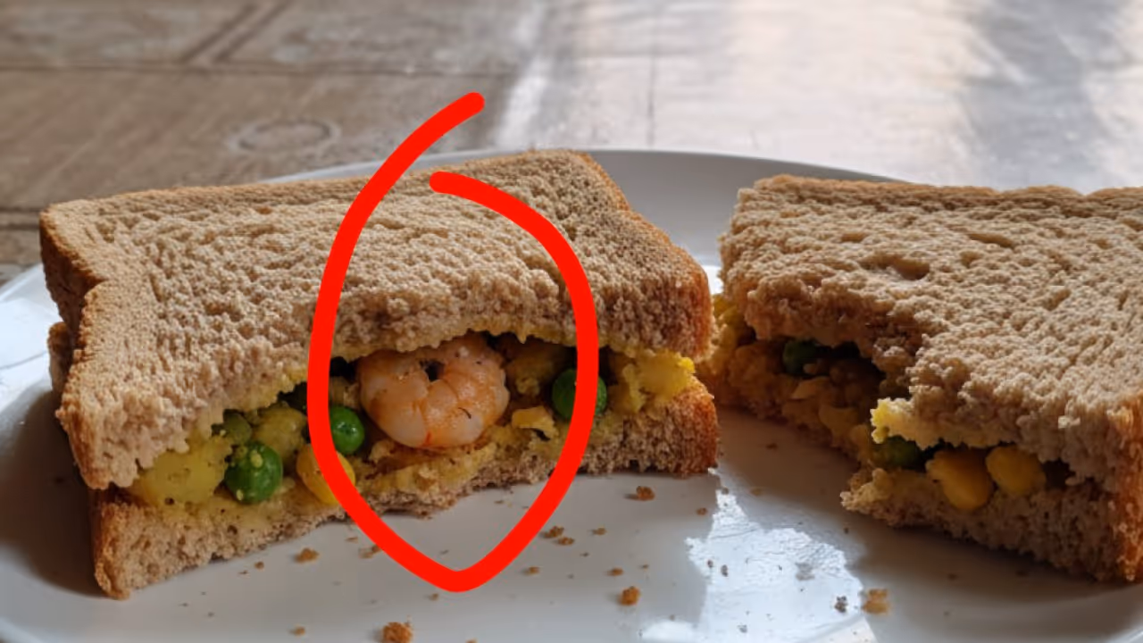 Bengaluru vegan woman receives wrong sandwich, wins Rs 1 lakh compensation Bengaluru vegan woman receives wrong sandwich, wins Rs 1 lakh compensation