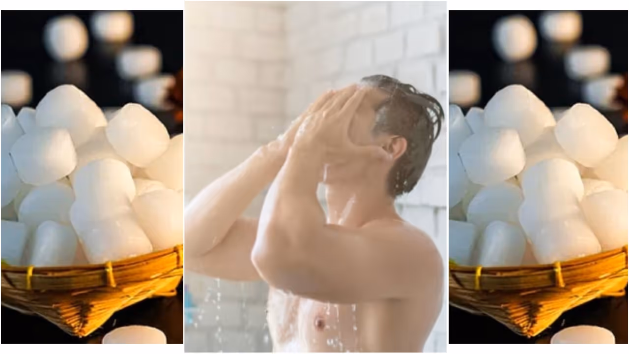 Camphor Camphor