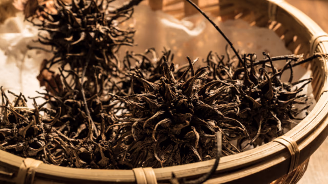 Da Hong Pao Da Hong Pao