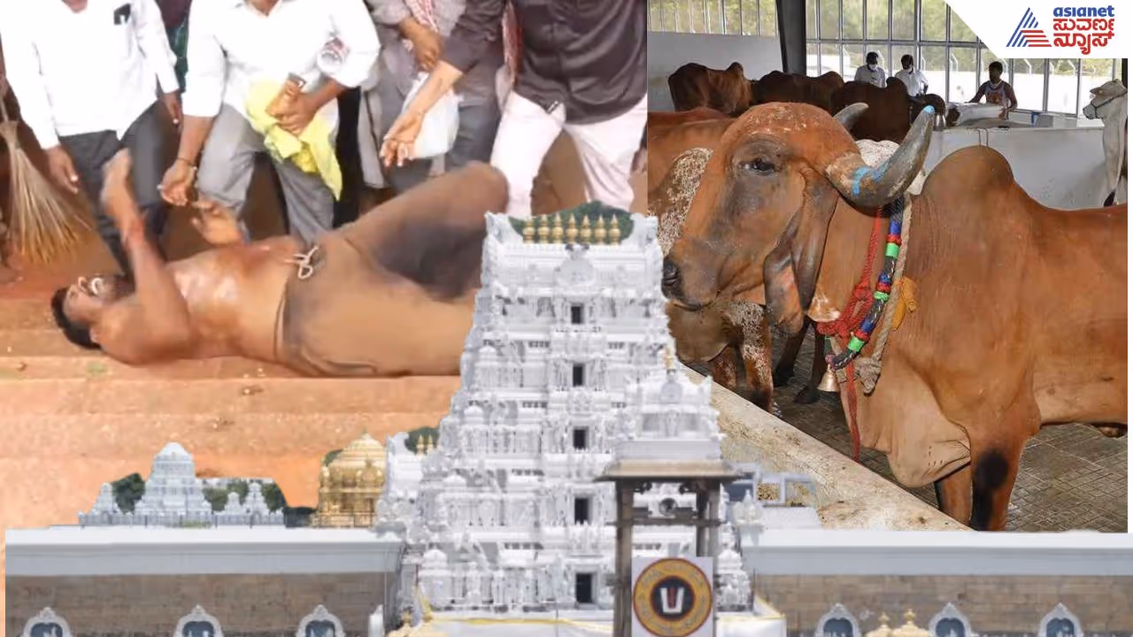 tirumala tirumala