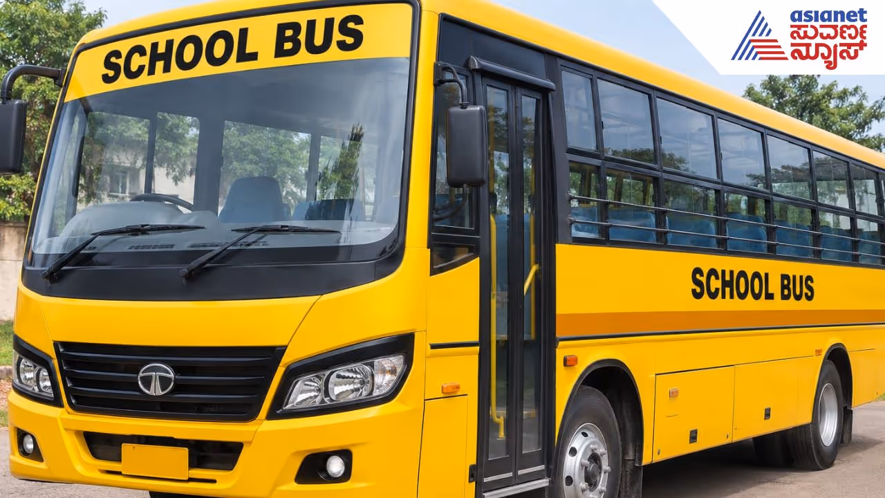 School Bus School Bus