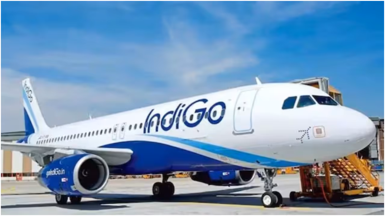 IndiGo IndiGo