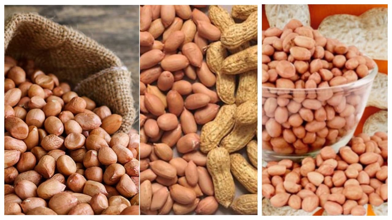 Peanuts Peanuts