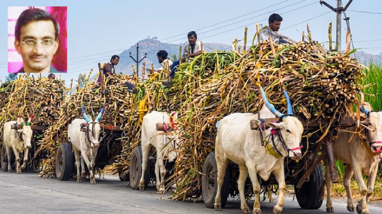 Sugarcane Farmers Sugarcane Farmers