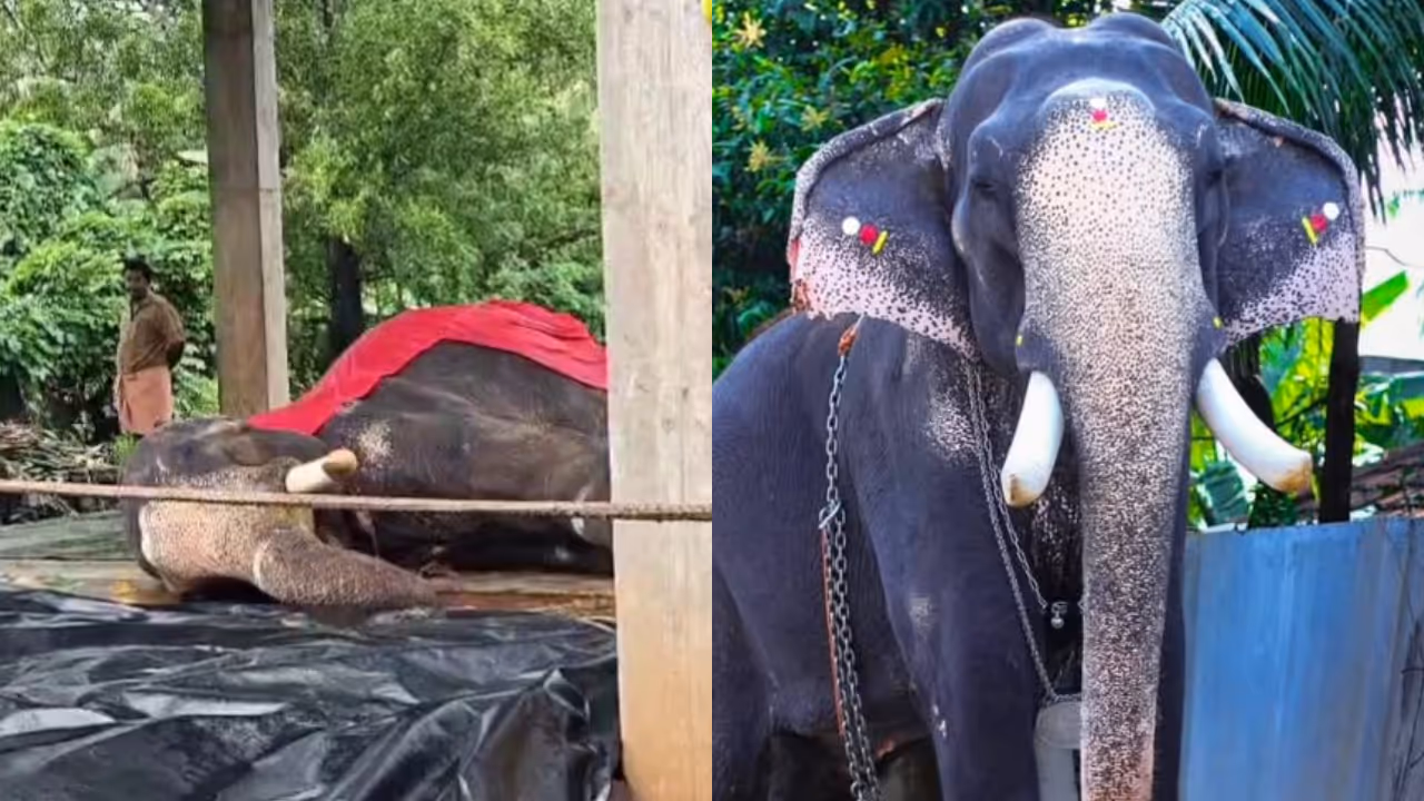 konark kannan death konark kannan death