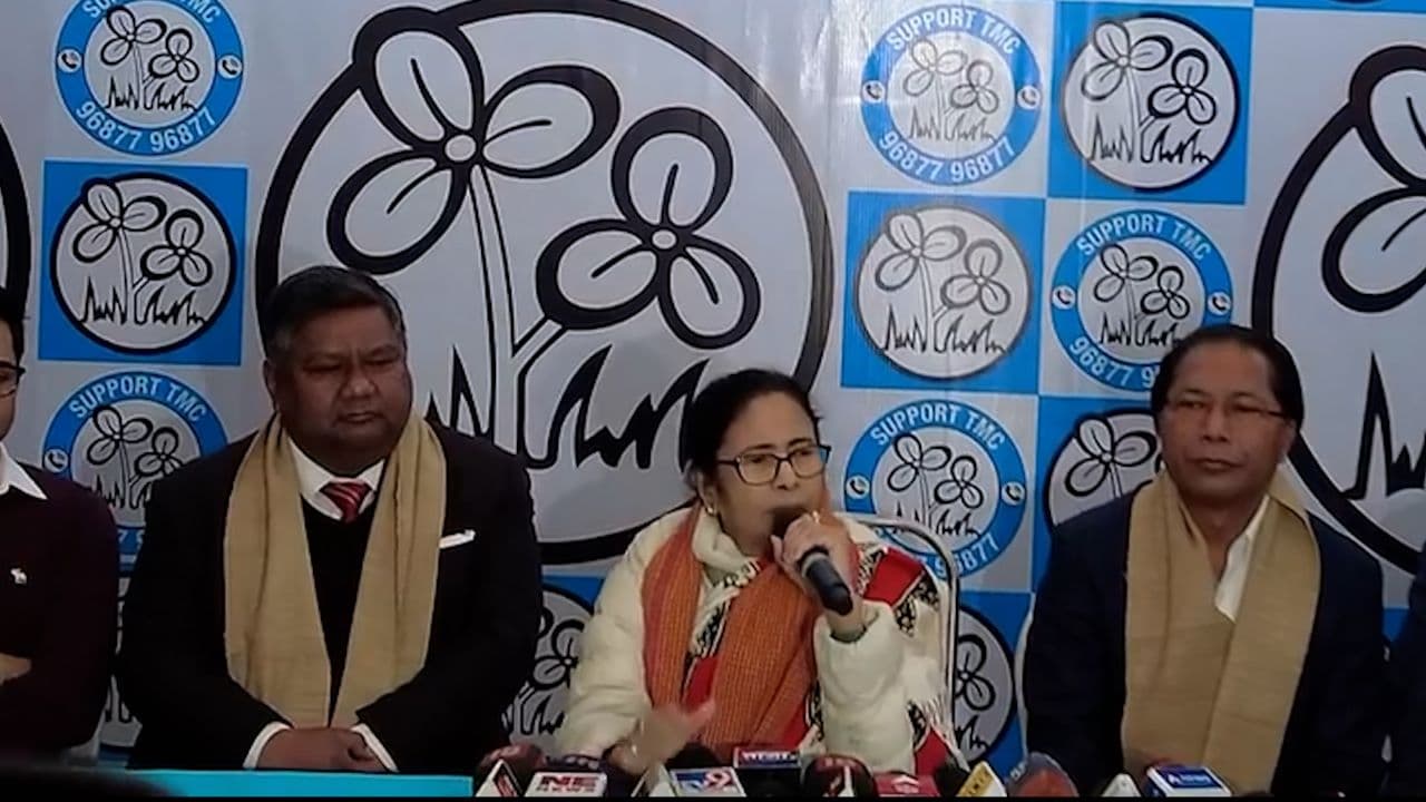 mamata mamata