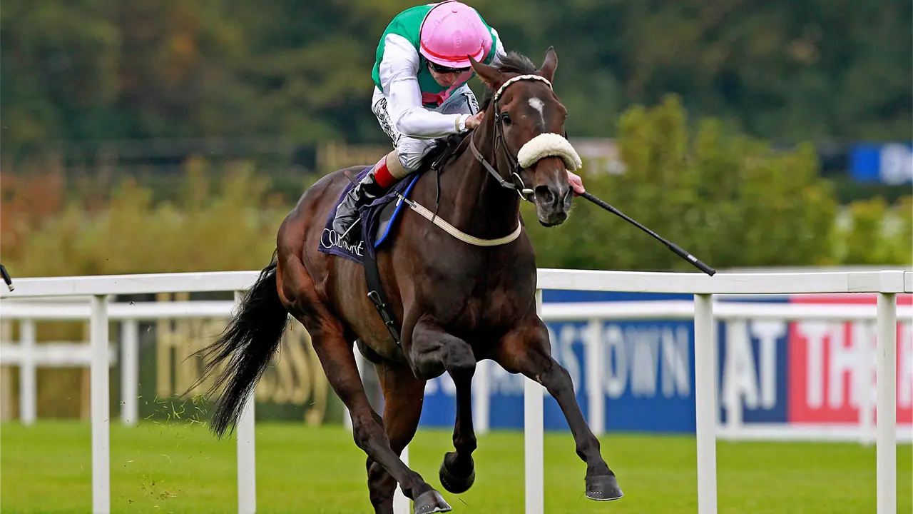 world most expensive horse world most expensive horse