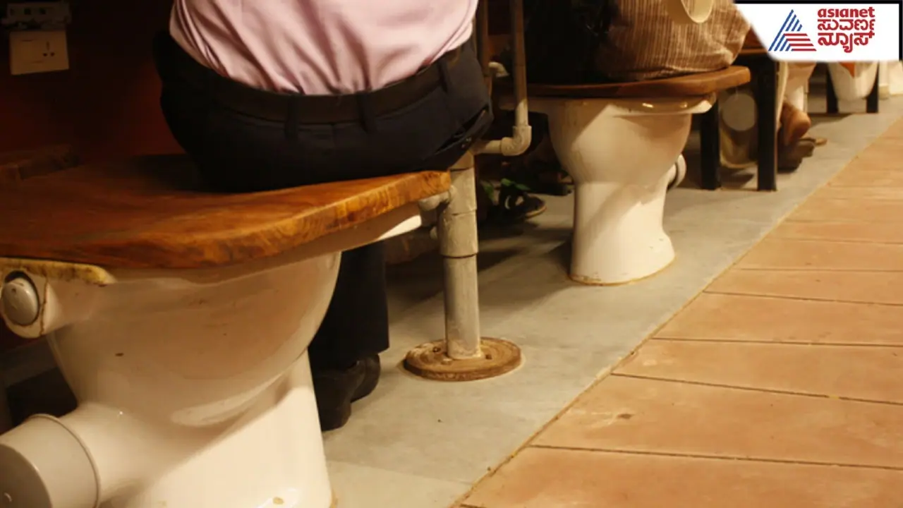 toilet garden toilet garden