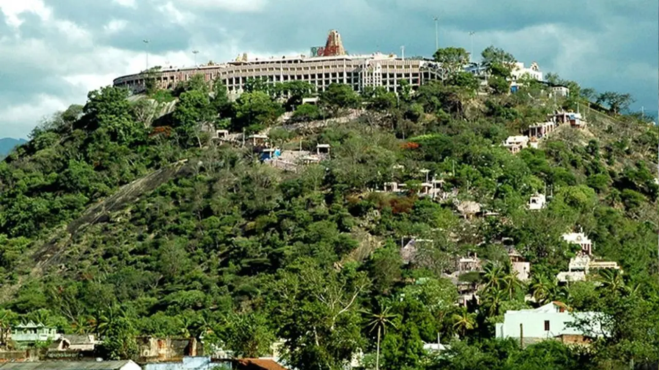 palani murugan temple