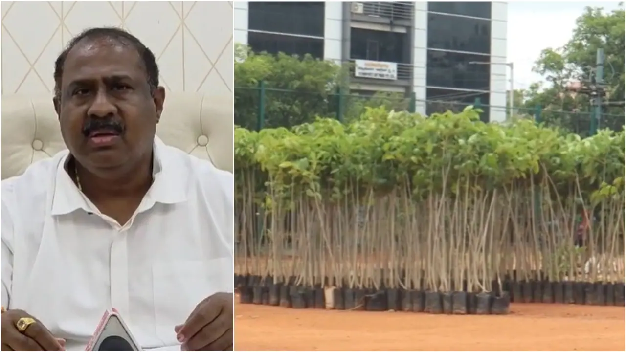 Bommanalli News Bommanalli News