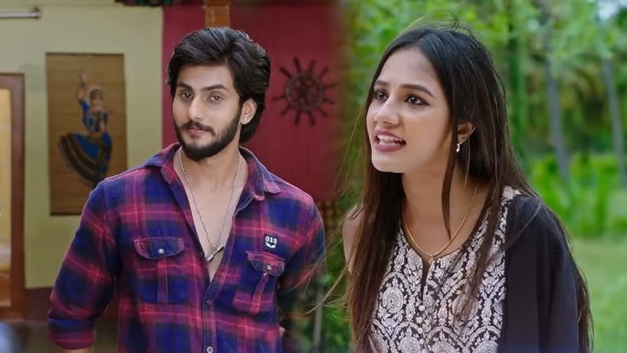 annayya serial pinki