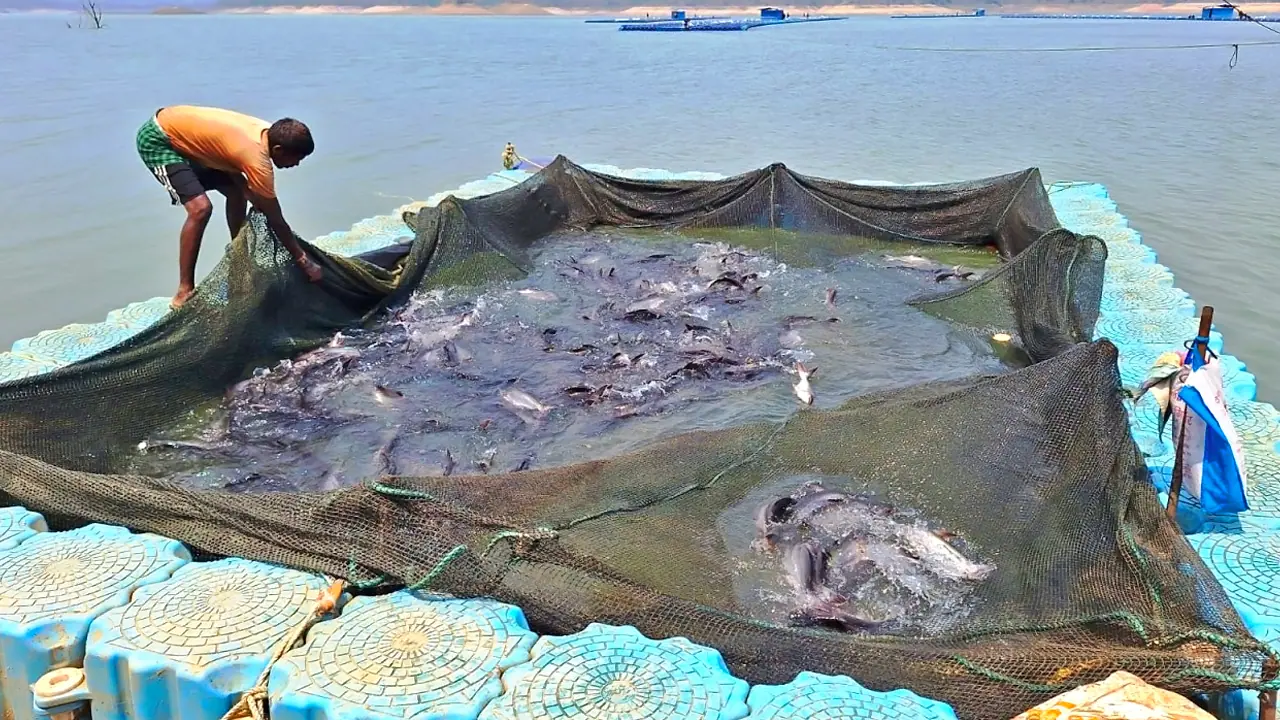 Korba Aqua Park Korba Aqua Park