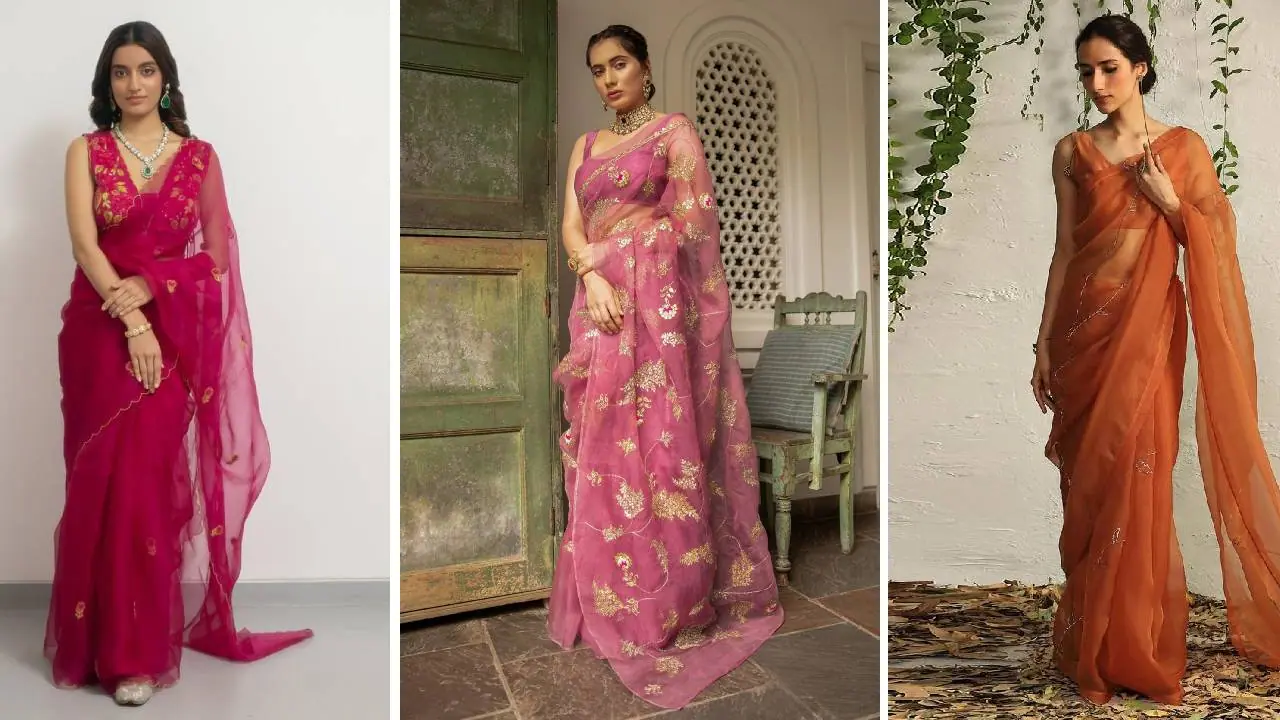  light organza saree on Rakshabandhan