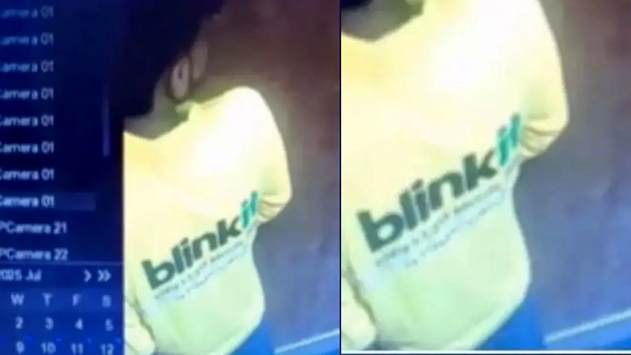 Blinkit delivery boy urinates in lift