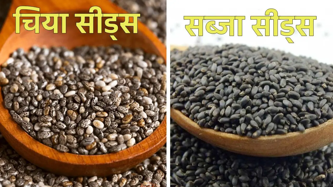 Chia Seeds and Sabja Seeds