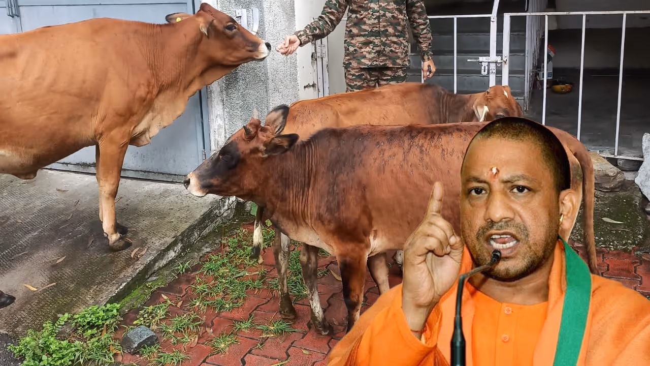 Yogi Adityanath action officials suspended on Kanha Gaushala lapses after viral video