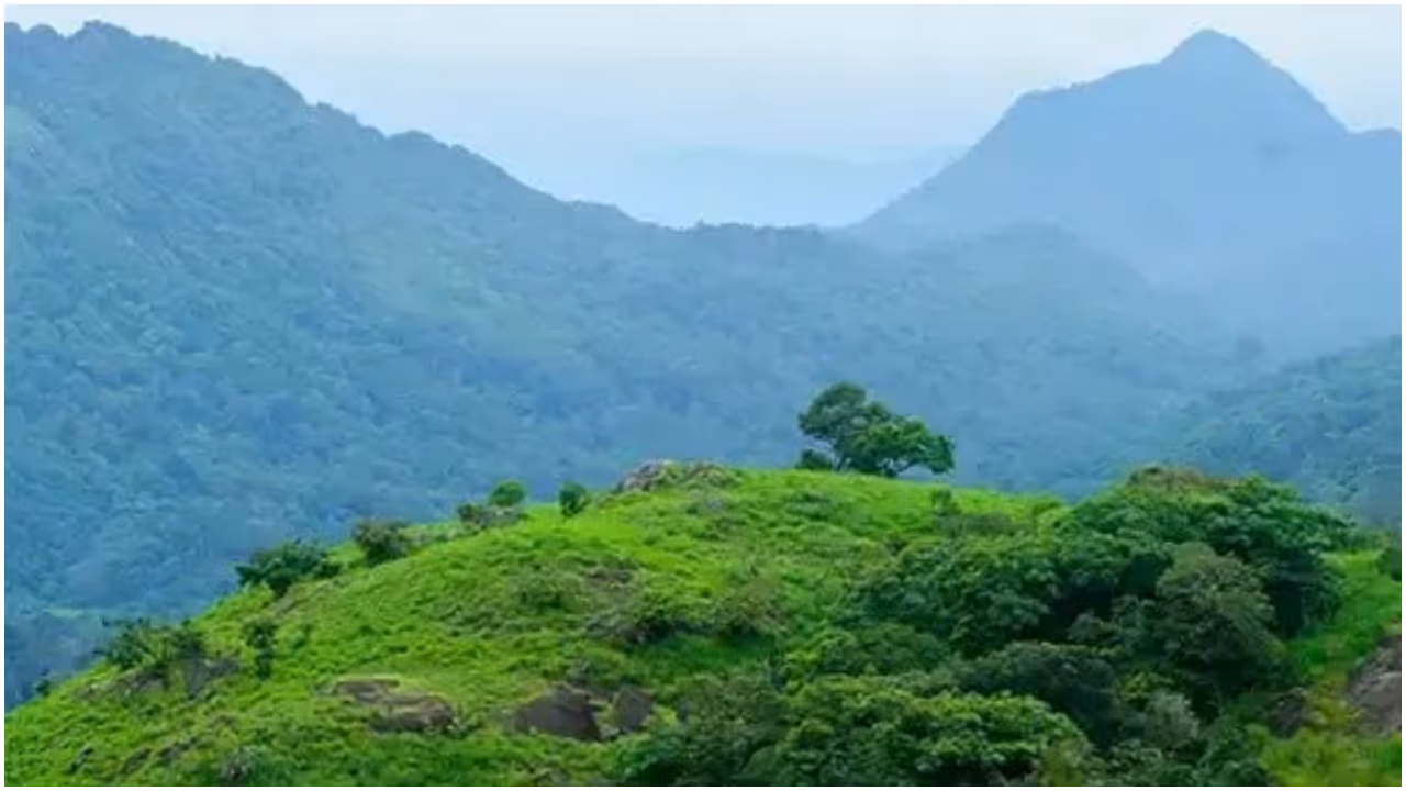 Palkulamedu Palkulamedu