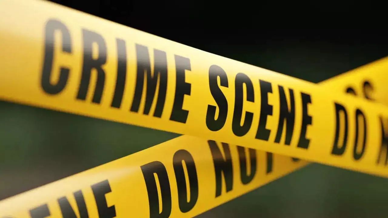 अमेरिका के मिशिगन में लोगों पर चाकू से हमला अमेरिका के मिशिगन में लोगों पर चाकू से हमला