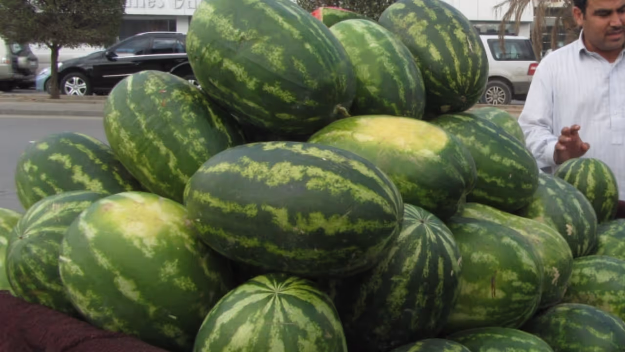 watermelon watermelon