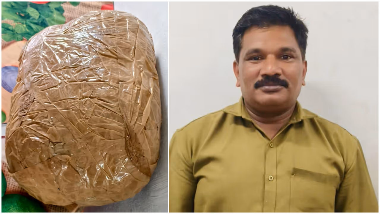 ganja arrest ganja arrest